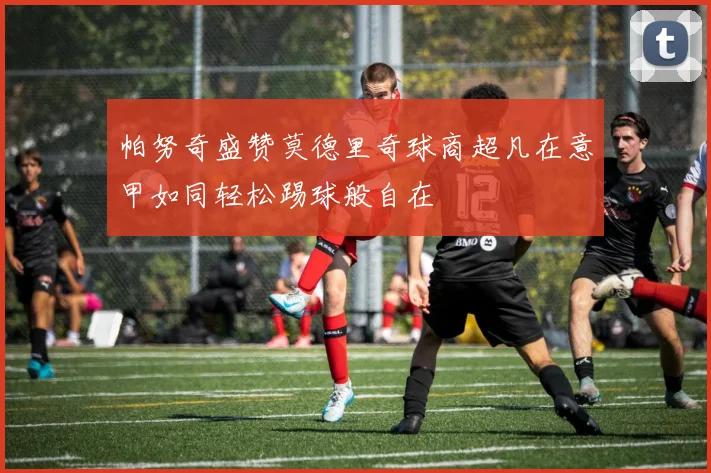 帕努奇盛赞莫德里奇球商超凡在意甲如同轻松踢球般自在